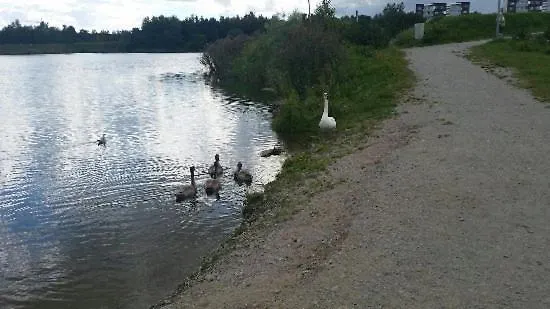 Διαμέρισμα Majaka *