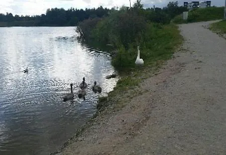 Apartamento Majaka *