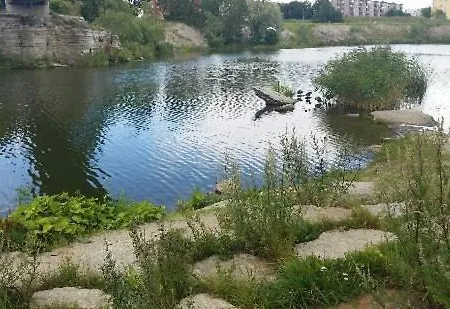 Majaka Lägenhet *